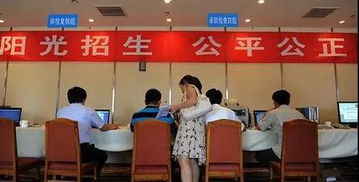 高招錄取正式啟動 石家莊市咨詢服務(wù)站電話公布，助力考生獲取關(guān)鍵信息